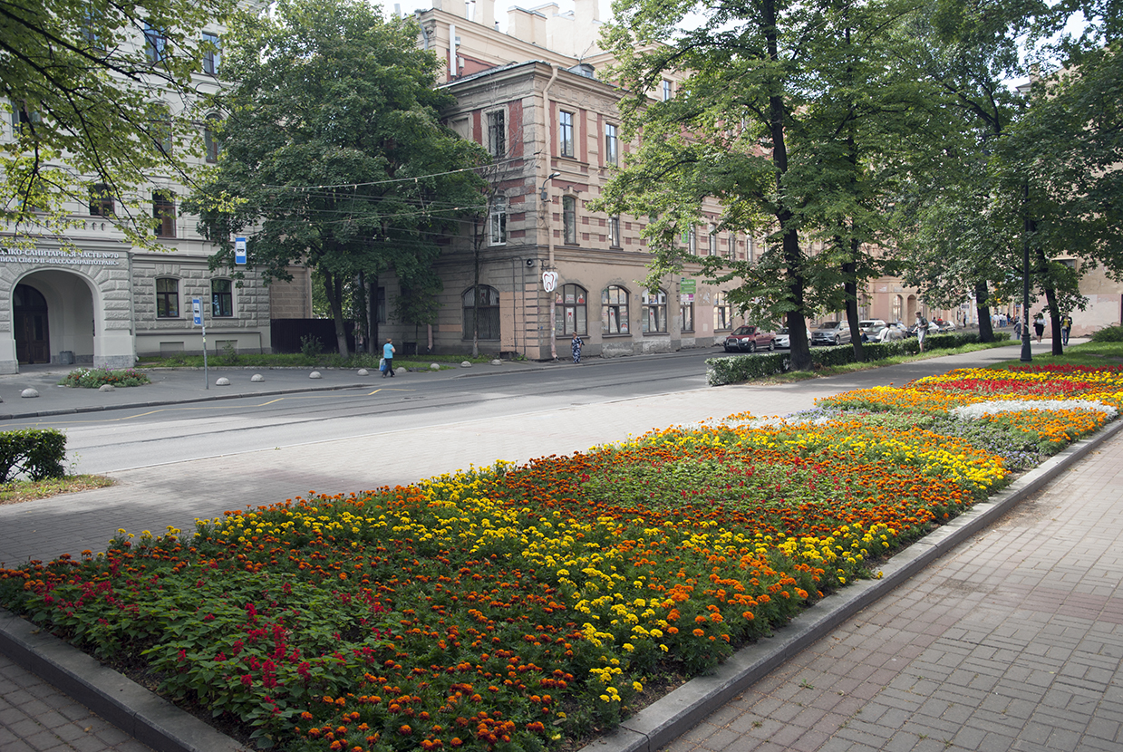 Сад б/н на углу ул. Комсомола и ул. Михайлова