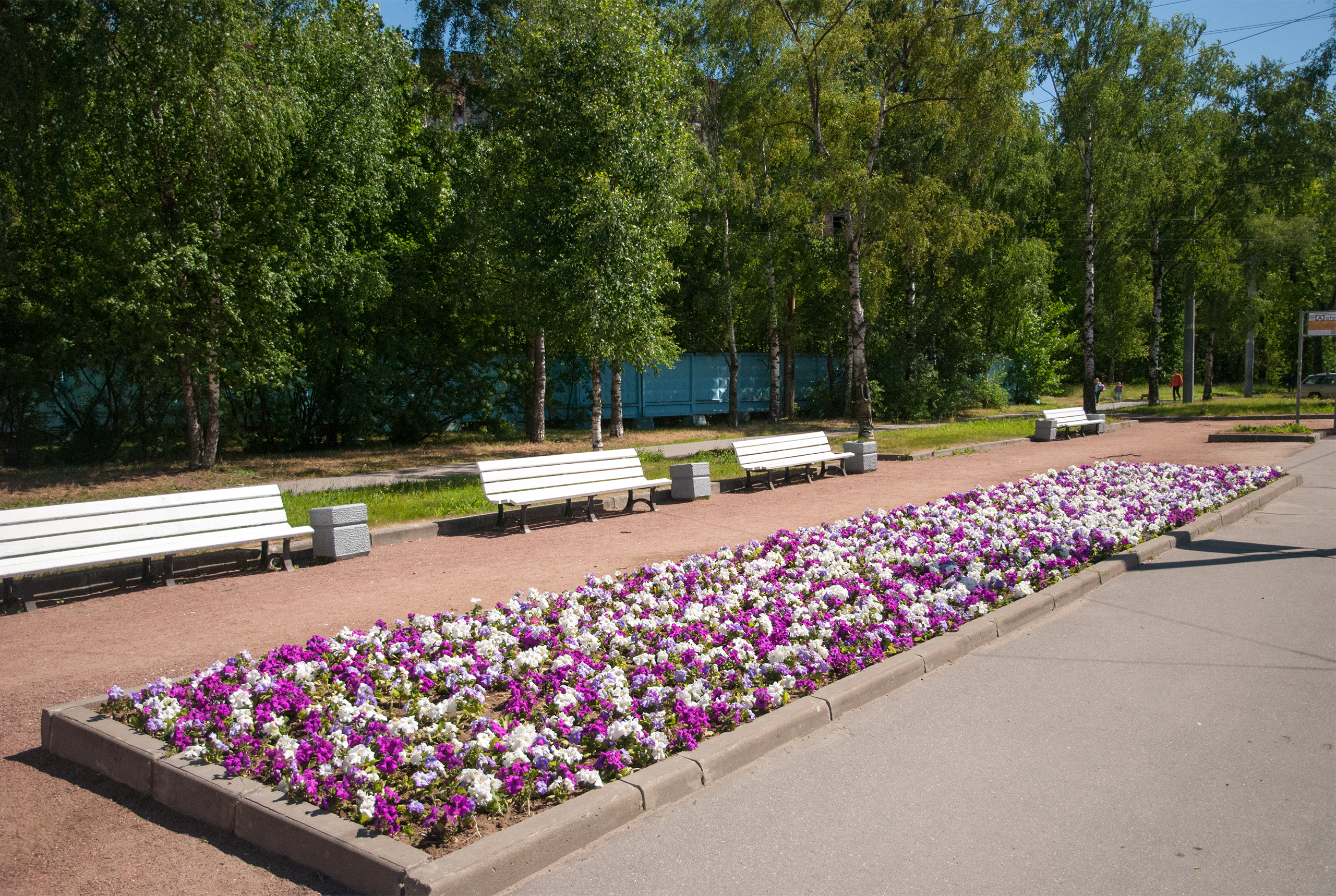 Тихорецкий пр. (уг.ул. Раевского)