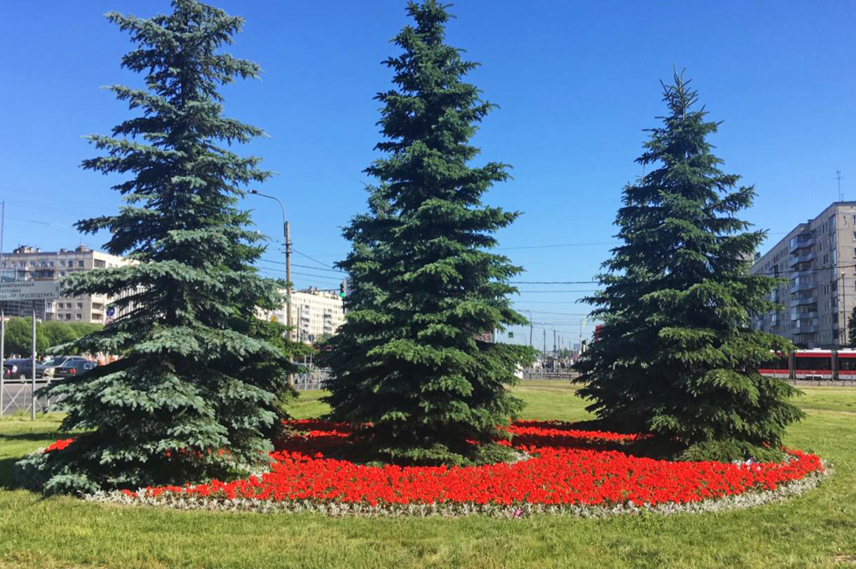 Пр. Просвещения (на пересечении с пр. Культуры)