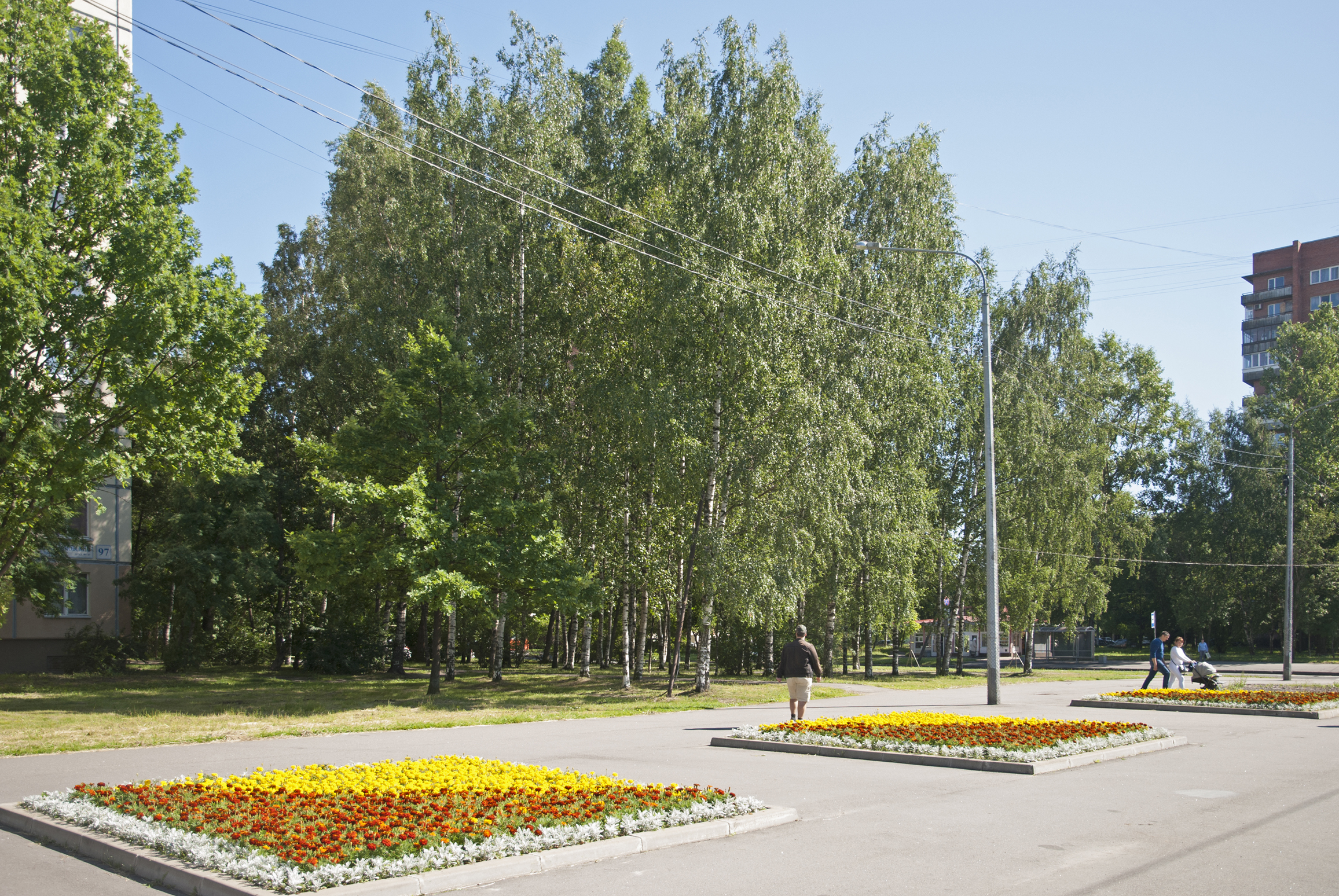 Светлановский пр. (на пересечении с Учительской ул.)